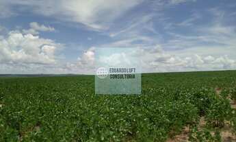 Imagem 3: Fazenda 5.525 hectares em Mineiros - GO