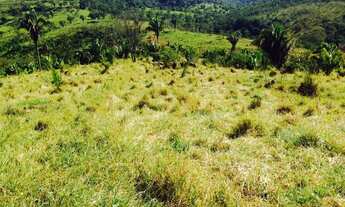 Imagem 3: Excelente fazenda com carvoaria em Presidente Olegário-MG contendo 310 hectares ou seja