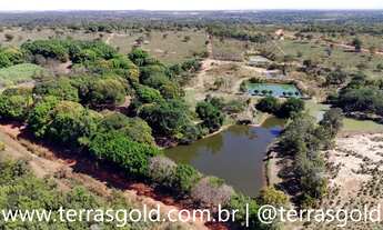 Imagem: Sítio à venda, Ideal para sem confinamento