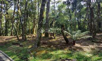 Imagem 2: GRAMADO - Terreno Padrão - Vila Moura