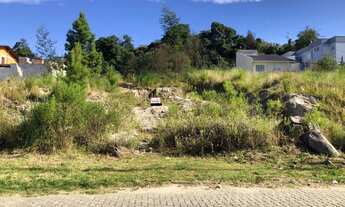 Imagem: CAXIAS DO SUL - Terreno Padrão - Esplanada