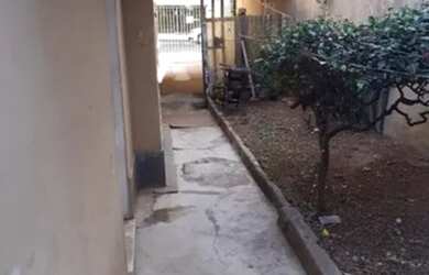 Imagem 2: 15 - Casa em Alecrim