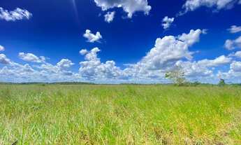 Imagem 6: Fazenda em Tabuleiro de Vitória, 400 tarefas de terra a 110km de Salvador