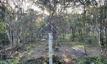 Imagem 2: Terreno para Venda em Pontal do Paraná, SHANGRI-LA