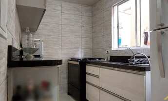 Imagem 5: CURITIBA - Padrão - Xaxim