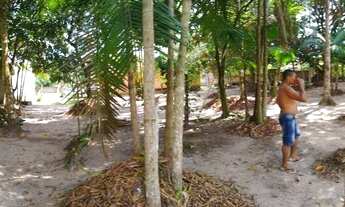 Imagem 5: Vendo Sítio em Marituba com quase 5 Hectares de terra, terreno todo documentado