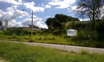 Imagem: Pindamonhangaba - Loteamento/Condomínio