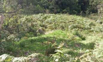 Imagem 7: Lote/Terreno para venda possui 2400 metros quadrados em Visconde de Mauá - Resende - RJ