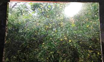 Imagem 6: Chácara em Rosário Oeste, Com 4 hectares, acesso ao rio Manso com tablado flutuante