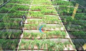 Imagem 5: Conjunto para alugar, 367 m² - Vila Olímpia - São Paulo/SP