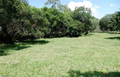 Imagem 4: Sítio para Venda em Bragança Paulista, Campo Novo, 3 dormitórios, 1 suíte, 2 banheiros