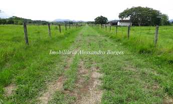 Imagem 3: Fazenda/Sítio/Chácara para venda possui 266200 metros quadrados com 3 quartos