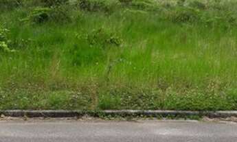 Imagem 3: Lote Regularizado com asfalto iluminação publica após ponte Rio Negro