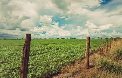 Imagem 4: Crédito imobiliário rural R$ 200.000,00 a R$ 1.000.000,00