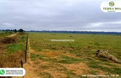 Imagem 5: FAZENDA 285 HECTARES TODA FORMADA EM PASTO