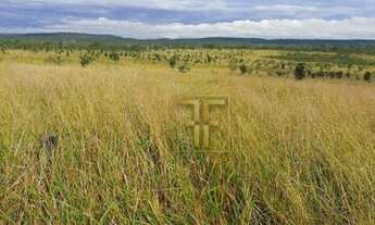 Imagem 4: Fazenda 2.700 Hectares, Paranatinga, MT