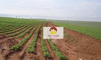 Imagem: Fazenda á venda em Rancharia - Municipio