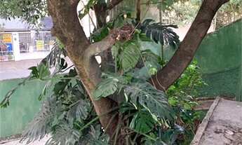 Imagem 7: São Paulo - Casa Comercial - VILA MARIANA