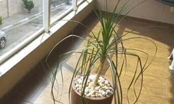 Imagem 3: Sobrado com 3 dormitórios à venda, 125 m² por R$ 532.000,00 - Jardim Ana Estela - Carapicu