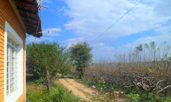 Imagem 4: Sítio para venda com 3 casas e 18.000m2 com plantação em Macuco - Valinhos - SP
