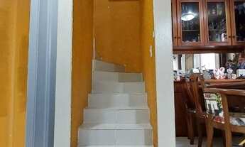 Imagem 4: CURITIBA - Padrão - Xaxim