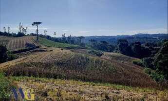 Imagem 6: Chácara para Venda em Balsa Nova, Bugre/Rodeio Santo Antônio
