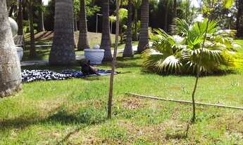 Imagem 5: Casa de condomínio para venda possui 200 metros quadrados com 3 quartos