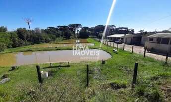 Imagem 3: Fazenda à venda, Área Rural de Ponta Grossa, Ponta Grossa, PR