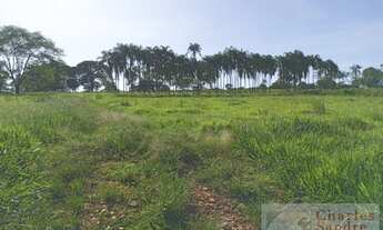 Imagem 2: Chácara para Venda em Petrolina de Goiás, Zona Rural, 2 dormitórios, 1 banheiro, 2 vagas