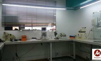 Imagem 3: Salão/Galpão (salão - térreo) , cozinha planejada