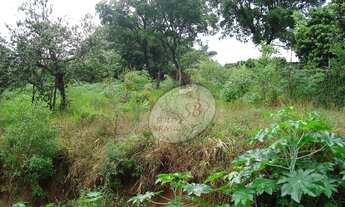 Imagem 2: Terreno Residencial à venda, Laranjeiras, Caieiras - TE0139