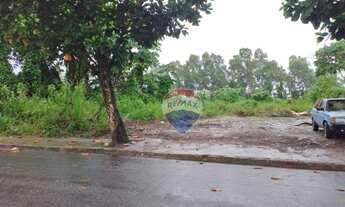 Imagem 4: Vende-se terreno perto de comércios, rua pavimentada as margens da PE60