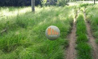 Imagem: Fazenda à venda, 750 alqueires por R$ 19.000.000