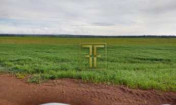 Imagem 2: Fazenda 850 Alqueires, Cristalândia, TO