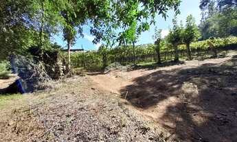 Imagem 4: VALE DOS VINHEDOS (BENTO GONçA - Chácara - Vale Dos Vinhedos