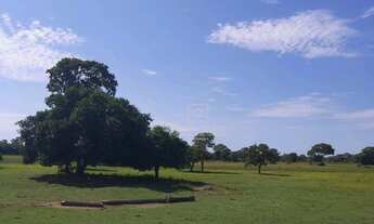 Imagem 5: Fazenda Pousada 30 Quartos Cuiabá - MT