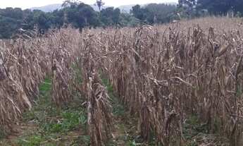 Imagem 5: Excelente Chacara sem benfeitorias com 9.500 m2 lavras 330.000