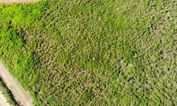 Imagem 2: Lotes no Vale das Videiras - Alto do Vale