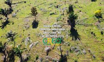 Imagem 7: 18.2 Alqueires Escriturada Machadinho-RO