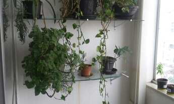 Imagem 3: Belo Horizonte - Apartamento Padrão - Horto