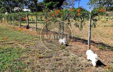 Imagem 2: TERRENO para venda estuda permuta