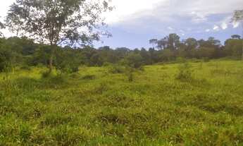 Imagem 2: Chácara de 2 alqueires em Pirenópolis - GO