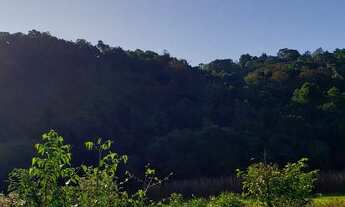 Imagem 6: Vendo 8,4 hectares