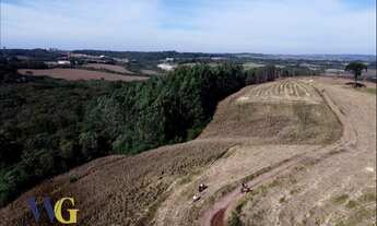 Imagem 2: Chácara para Venda em Balsa Nova, Bugre/Rodeio Santo Antônio