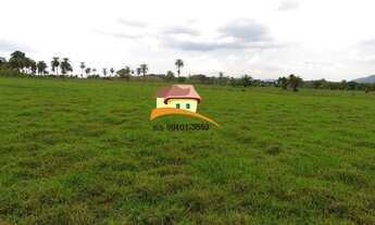 Imagem 6: Fazenda para Venda em Porto Nacional