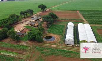 Imagem 3: Sitio a venda ótima para planatação p/ soja e milho. Água abundante, casas, barracão, uma