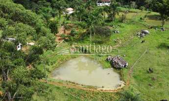 Imagem 2: Fazenda - Centro - Morro do Pilar