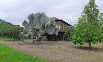 Imagem 4: Sítio estilo fazendinha com 26.000m² planos casa sede padrão a 400m da pista