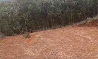 Imagem 9: Terreno com visão ampla