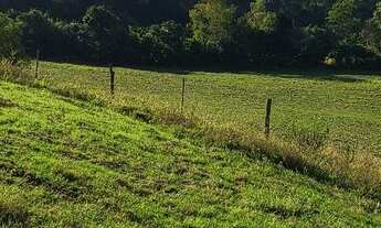 Imagem 2: Vendo 8,4 hectares